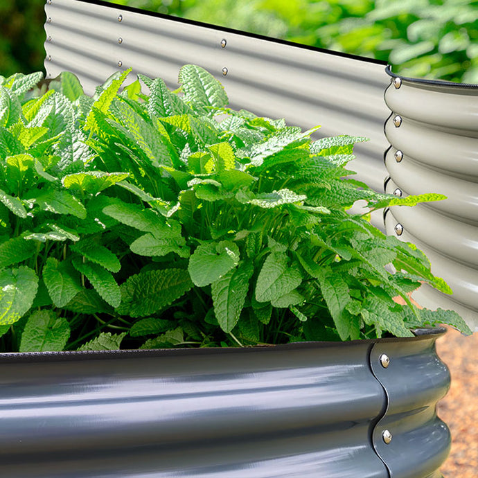 Tips from Olle Garden Bed: Six Free Gardening Supplies You Can Get
