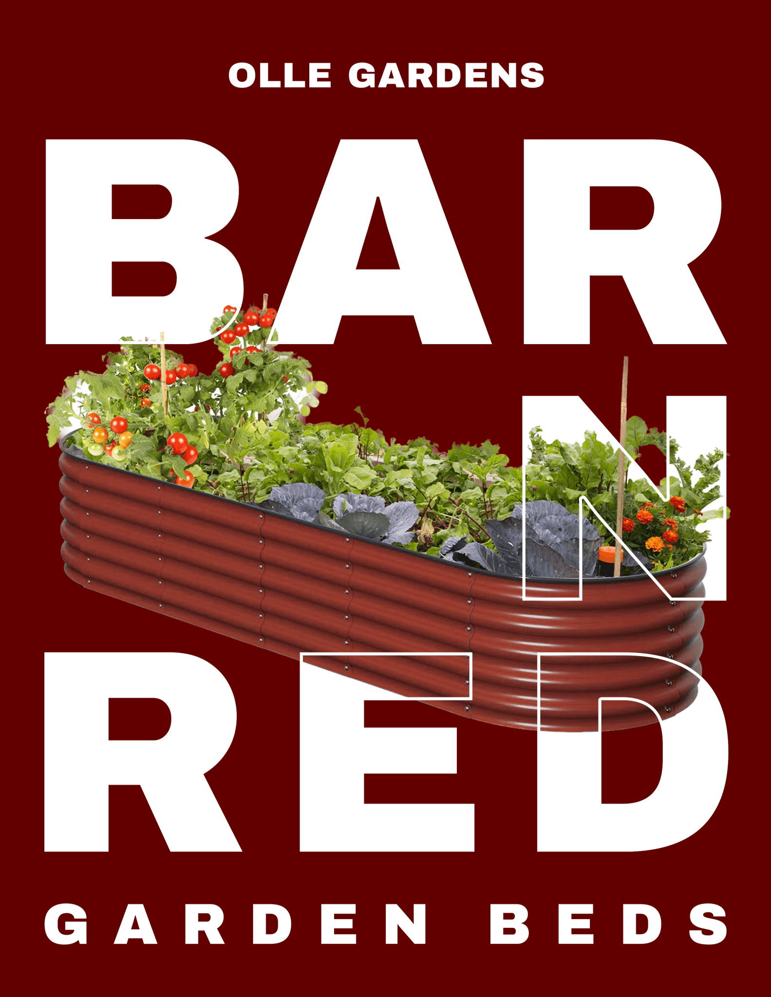 Barn Red - Ollegardens