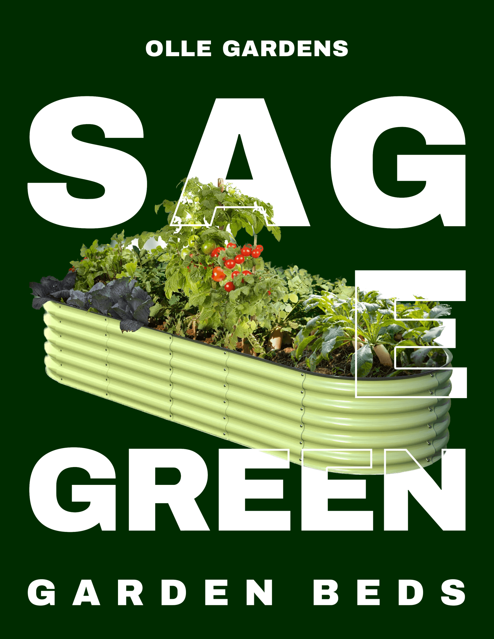 Sage Green - Ollegardens