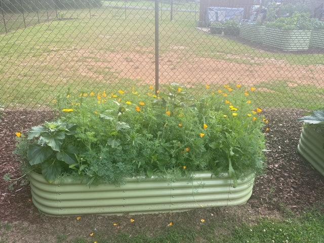 17'' Tall Olle Gardens 12 - in - 1 Raised Bed, in Sage Green - Ollegardens