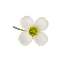 Load image into Gallery viewer, Olle Gardens Farmers Bundle