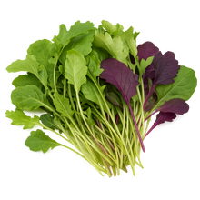 Load image into Gallery viewer, Olle Gardens Greens Bundle