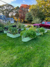 Load image into Gallery viewer, 3 Pack Fall Bundle