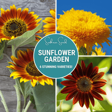 Load image into Gallery viewer, Sunflower Seed Collection – 6 Varieties