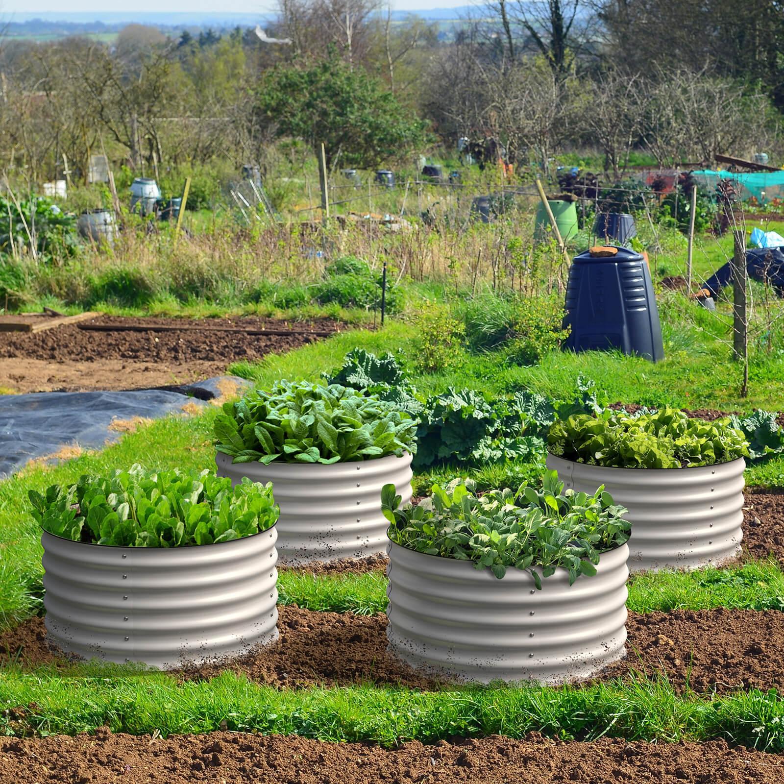 Olle Gardens 17