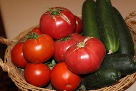 What To Plant In May