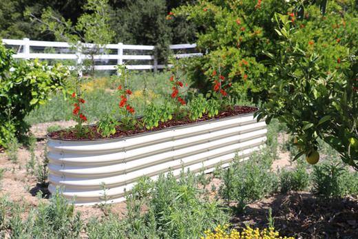 Where To Put Your Olle Metal Garden Bed
