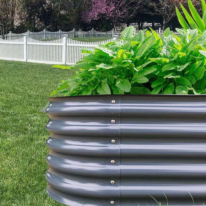 13 Powerful Plants In Your Garden Bed That Naturally Repel Flies