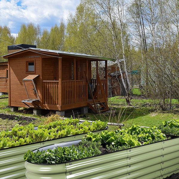 Get Your Garden Blooming with these Early Spring Flowers and Vegetables