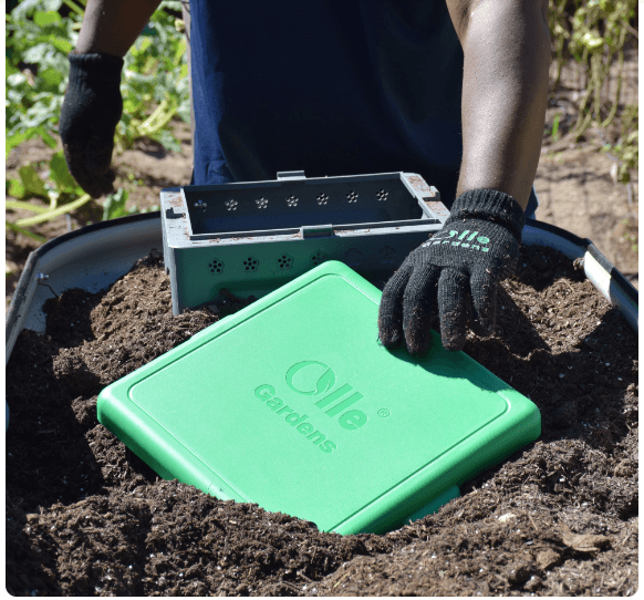 Embracing Sustainability_ Establishing a Neighborhood Worm Bin Program for Community Composting