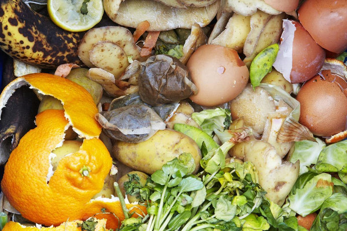 Composting For Your Garden