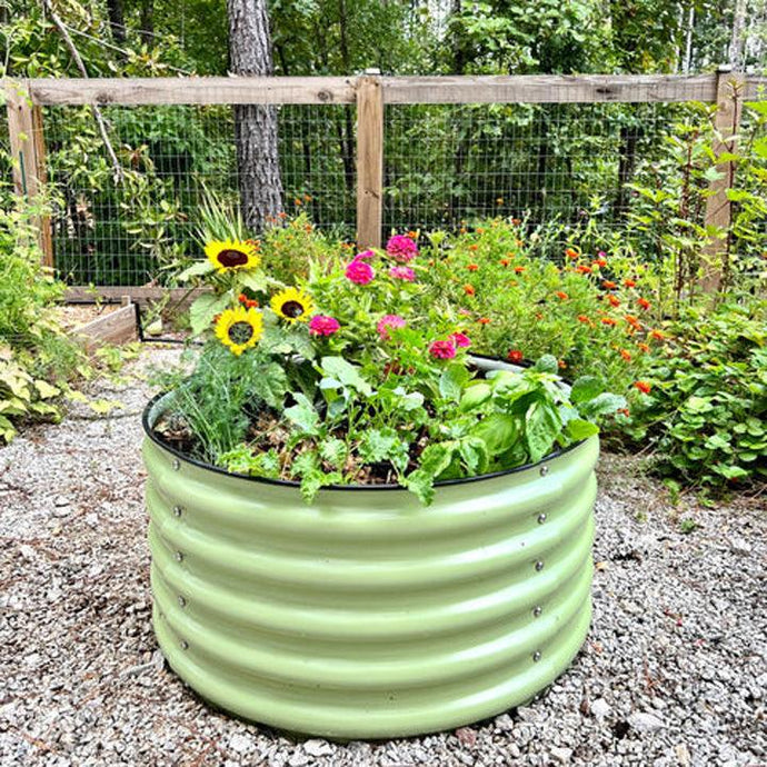 Knowledge from Olle Garden Bed:Creating Bee-Friendly Gardens with Raised Beds