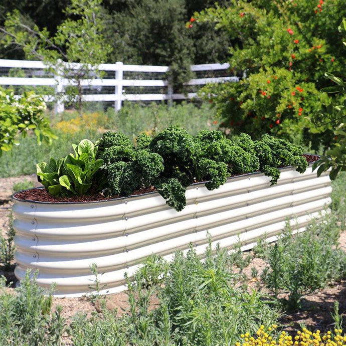 Tips from Olle Garden Bed: Garden Vegetables, 4 Steps to Create A Beautiful Yard
