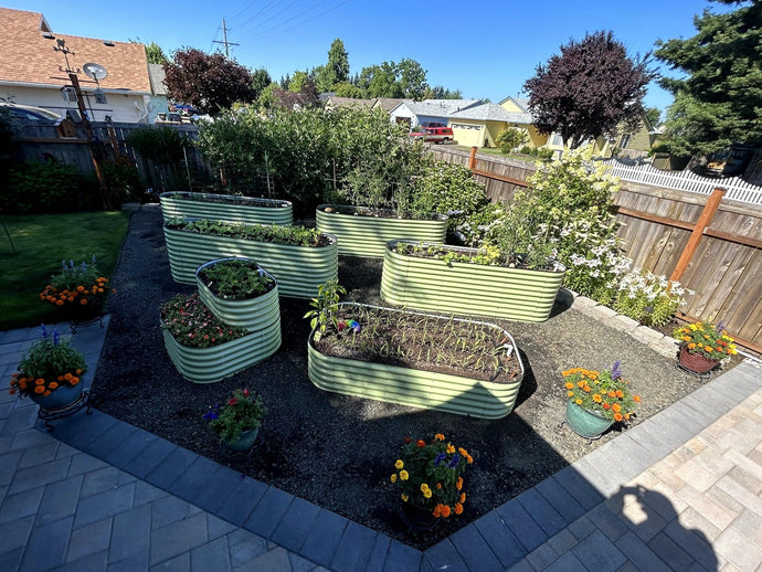 5 Ways to Save Your Vegetable Garden from Too Much Rain