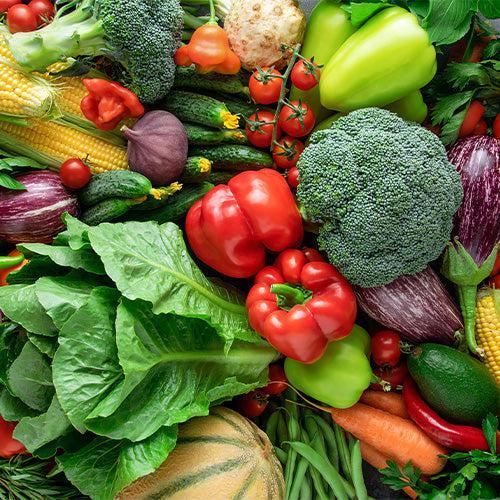 6 Essential Tips for Beginner Vegetable Gardeners