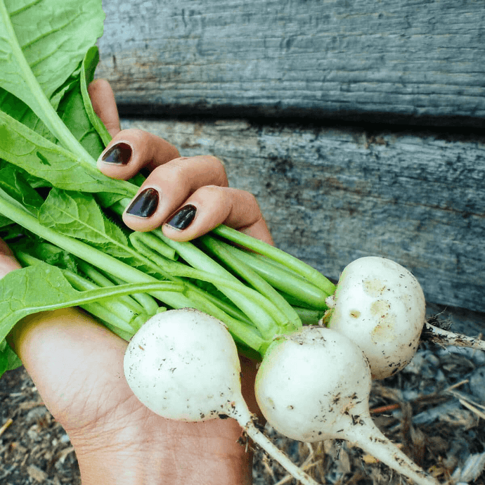 7 States for September Planting