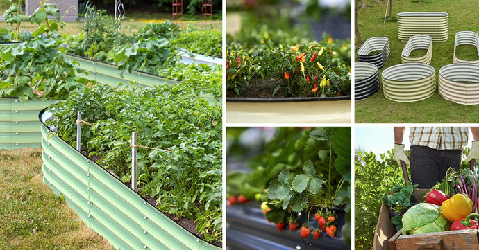 Keeping Your Soil Full of Nutrients