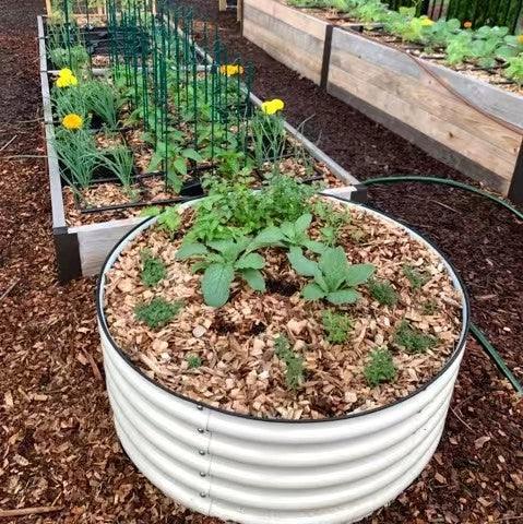 Tips and Techniques of Raised Bed Gardening in Cold Season