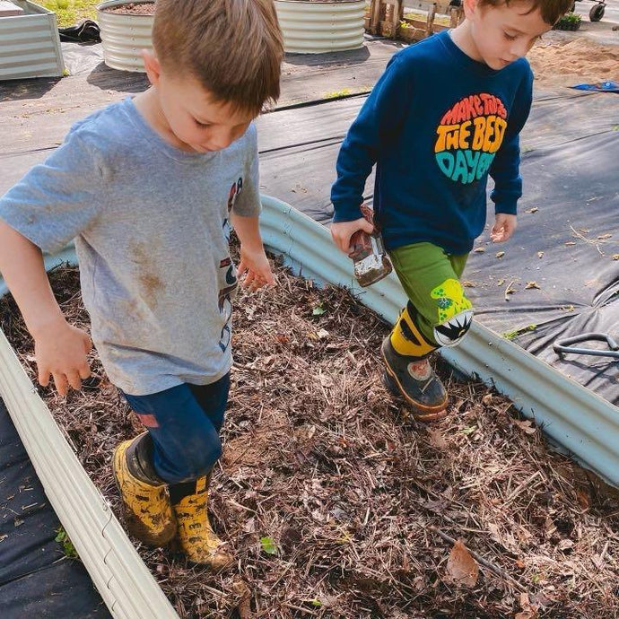 8 Kinds Of Vegetables Suitable For Children To Grow In Raised Garden Beds