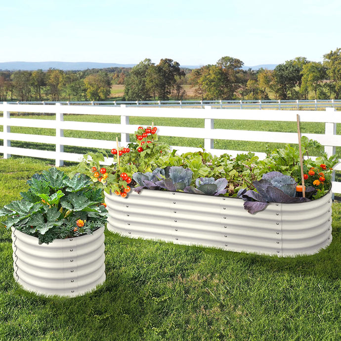 Dog-Friendly Olle Raised Beds: Creating a Safe and Beautiful Garden Space for You and Your Furry Friend