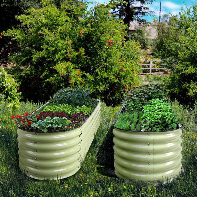 The knowlege from Olle garden beds:10 Must-Grow Plants for a Colorful Spring Garden