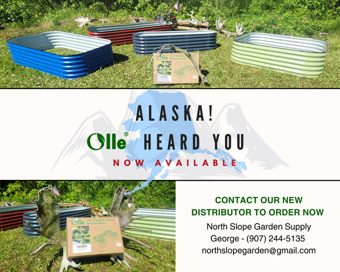 New Olle Distributor in Alaska