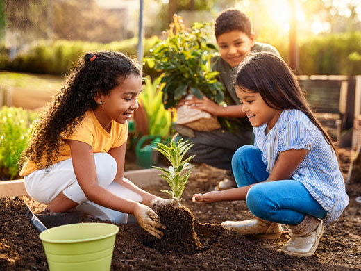 The Best Tool in Your Garden? A Child! Fun Gardening Activities from Olle Gardens