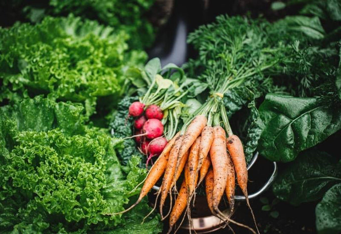 Did you know Veggies like and don't like certain vegetables?