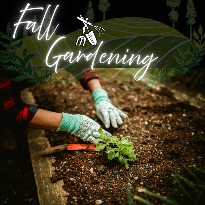 'Tis the Season to Grow This Fall!