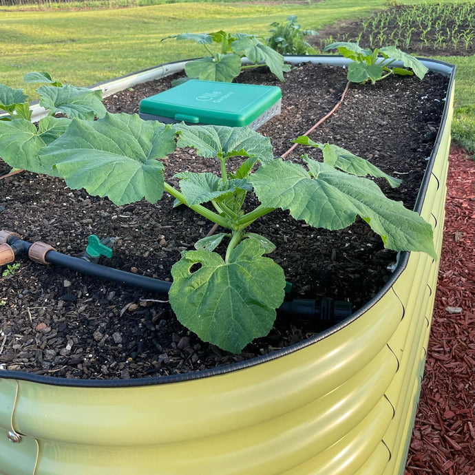 When Your Compost Isn't Heating: Steps to Take