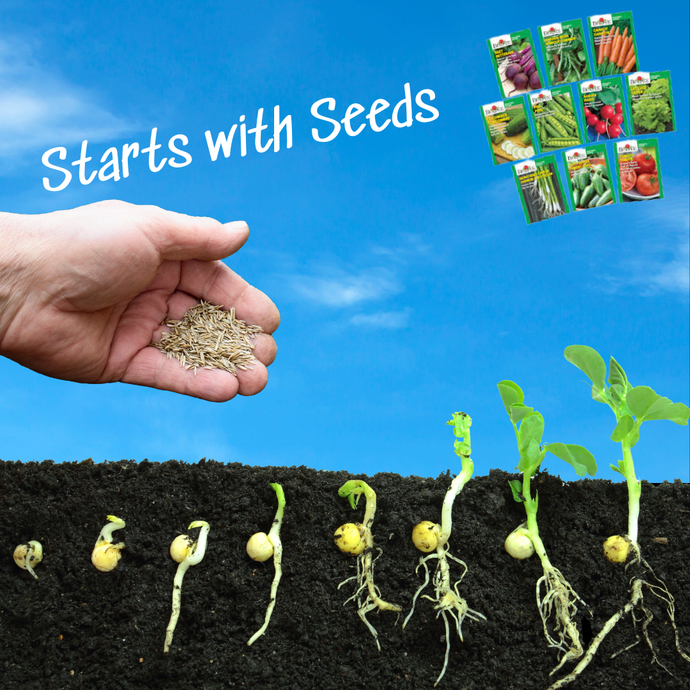 The Perfect Start for Fall: It All Starts with Seed