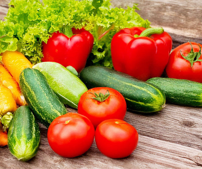 Guide for Your Garden To Thrive In July