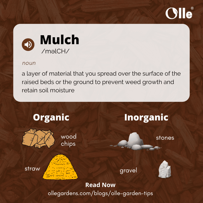 All About Mulch and Mulching