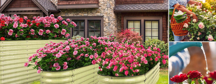 Are metal raised garden beds safe?