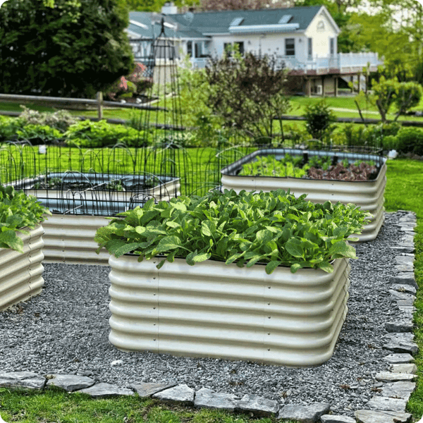 Are you replacing your metal raised garden bed? A metal raised garden bed would be your best option. - Ollegardens