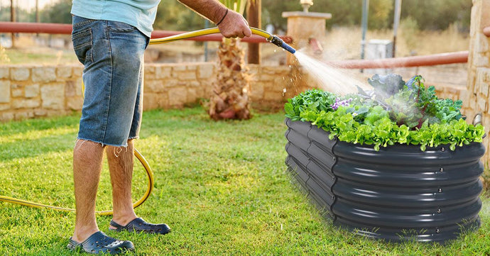 August Planting Guide，suitable for beginners