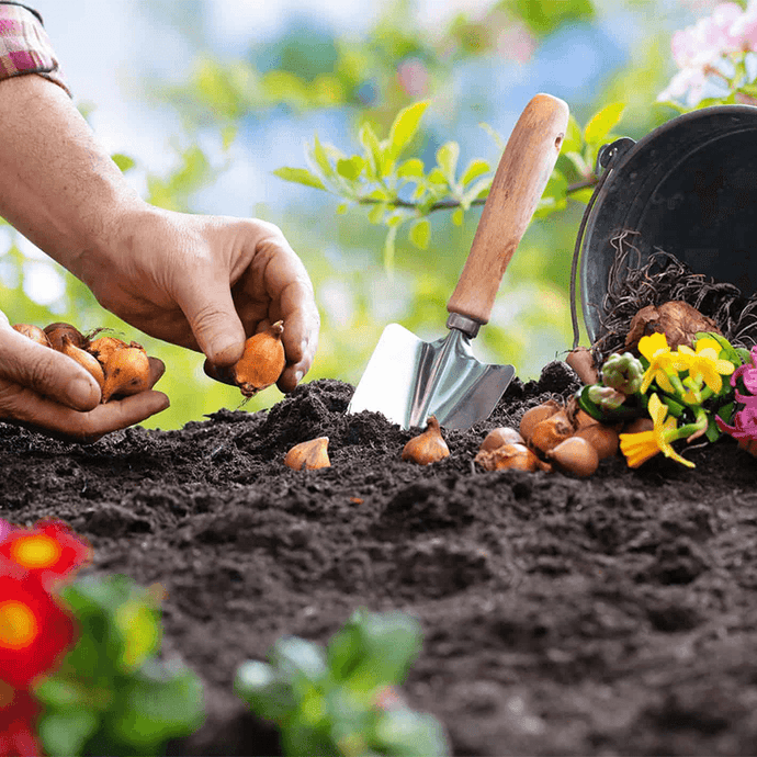 Fall Gardening: What To Plant In Your Garden