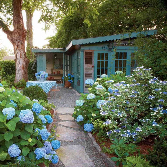 Creating a Sensory Garden: An Oasis for the Five Senses