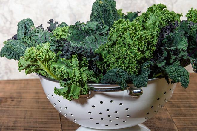 Growing Kale