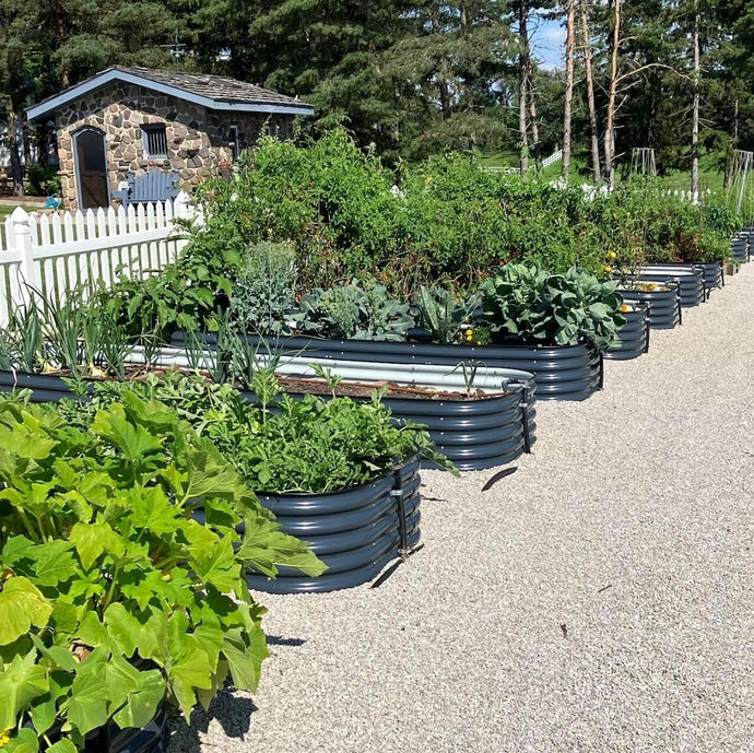 How To Build a Raised Garden Bed?