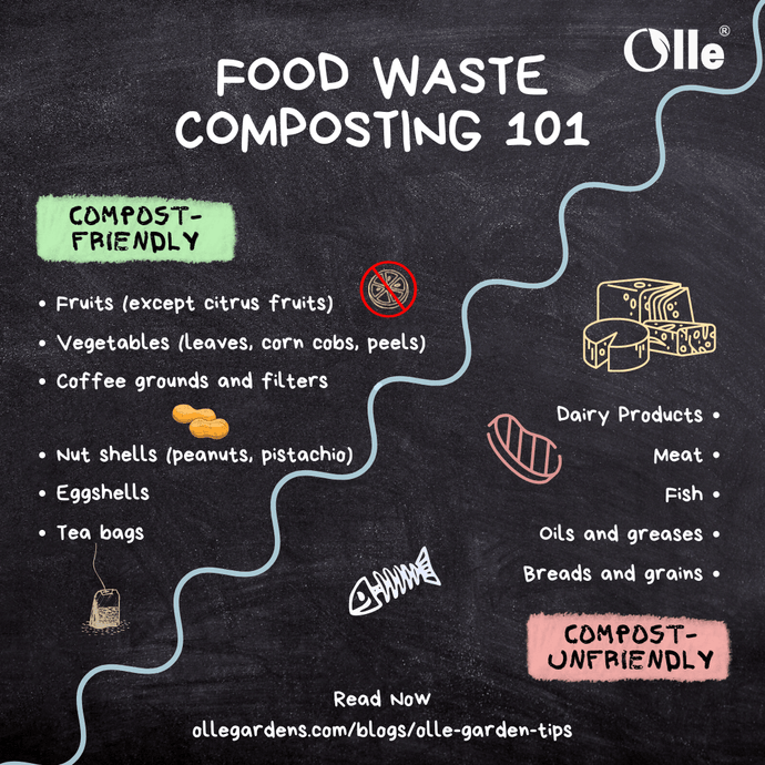 Everything About Composting: What Kind of Food Is Suitable and What's Not