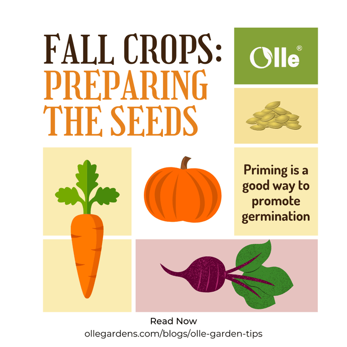 Fall Crops: Preparing the Seeds
