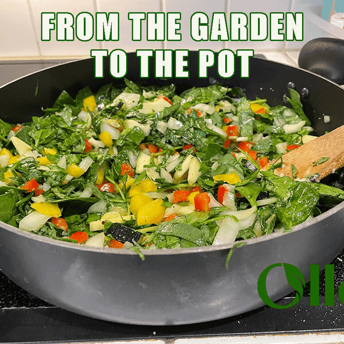 From The Garden To The Pot