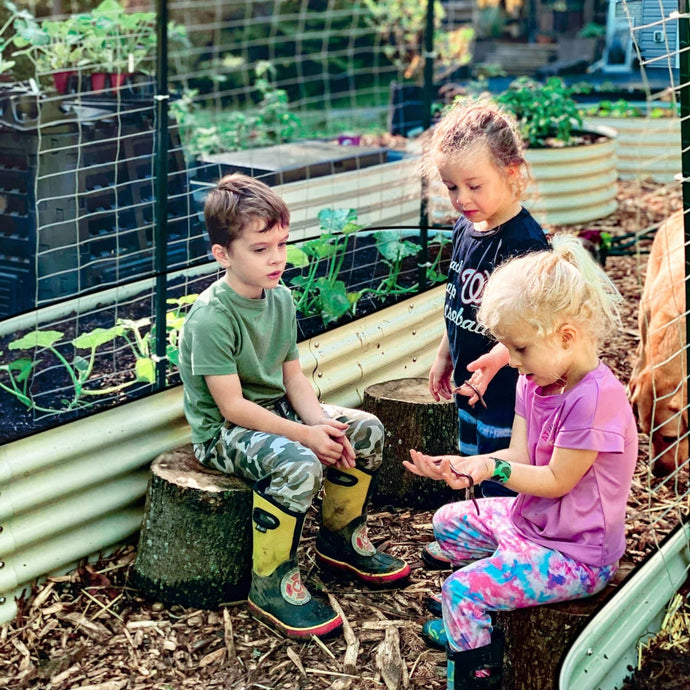 Garden Bed Tips: Your Daily Food Waste Leads To Climate Change