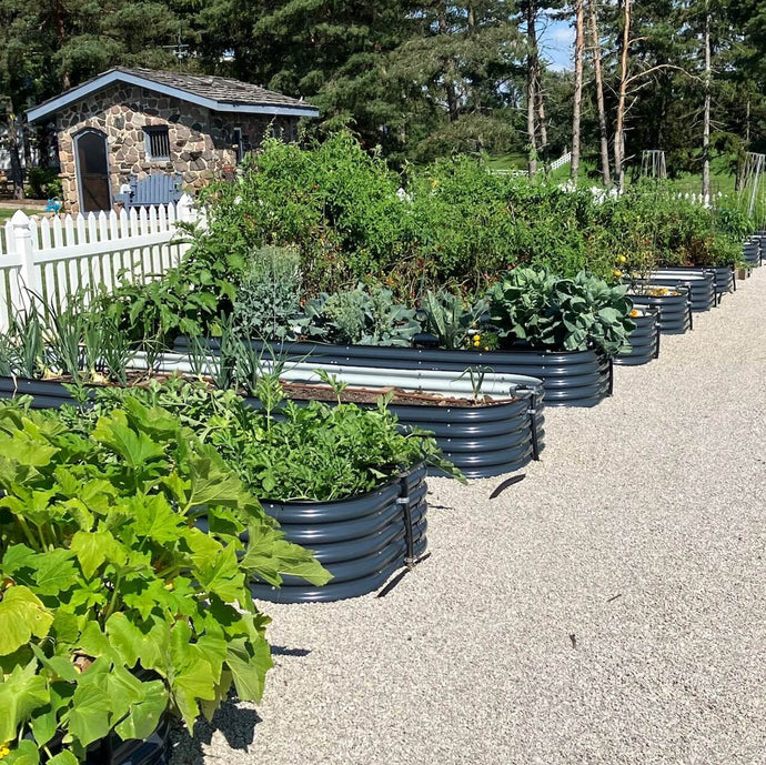 From Seed To Harvest: A Guide To Successful Gardening With Metal Garden Beds
