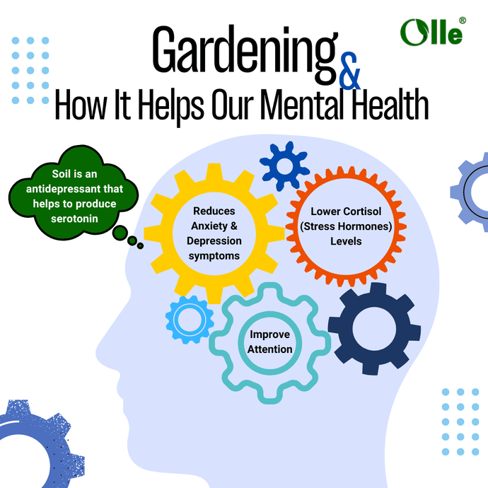 Gardening: How It Helps Our Mental Health