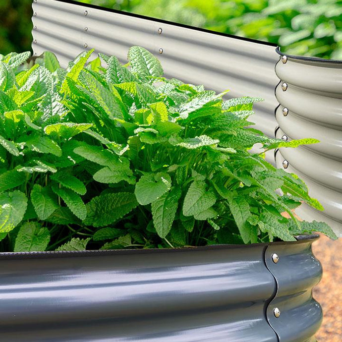 Health Benefits Of Vegetable Gardening With Raised Garden Beds