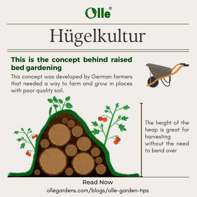 History of Hügelkultur: How This Ancient Technique Inspired Raised Bed Gardening