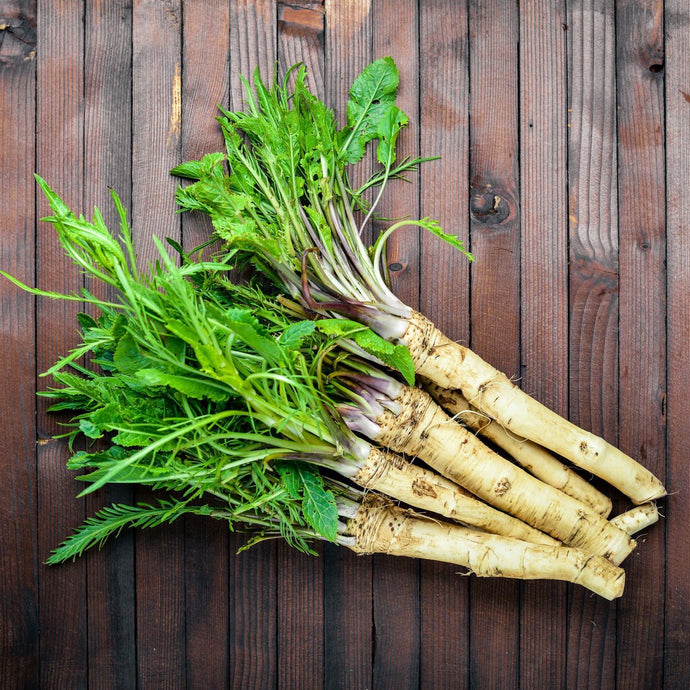 Horseradish Unveiled: A Guide to Cultivation and Harvest