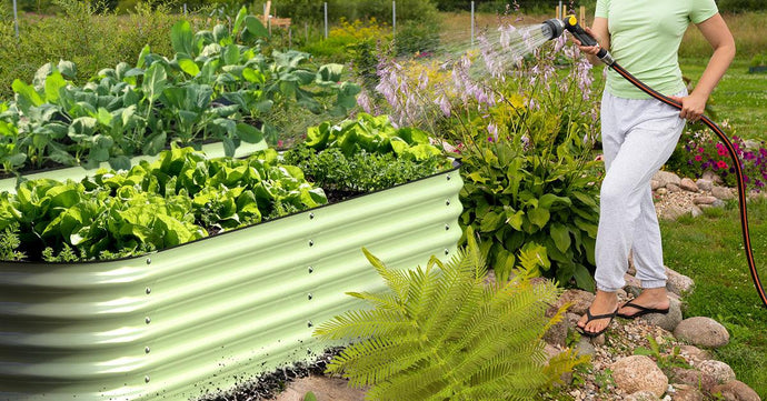 How Do You Start the Dream of a Patio Farm?